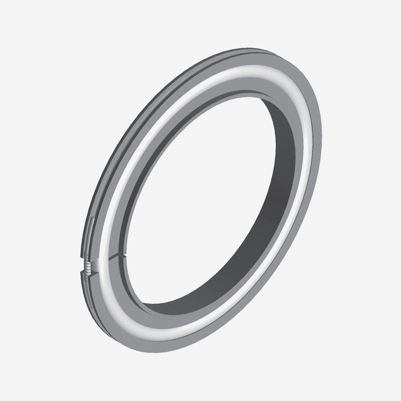 带外环和 Viton O 形圈的 ISO 定心环